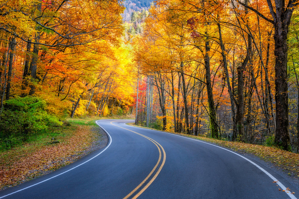 Fall Vacation Ideas: Best Places for Autumn Foliage